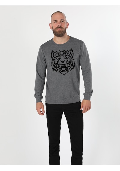 Colin's Colins Regular Fit Baskılı Antrasit Erkek Sweatshirt Antrasit