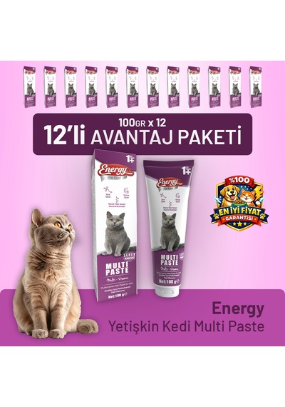 Yetişkin Kedi Multi Paste 100 G - 12 Adet