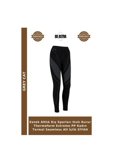 Grey Cat Esnek Altlık Kış Sporları Hızlı Kurur Thermoform Extreme Pp Kadın Termal Seamless Alt İçlik Siyah Grey Cat Esnek Altlık Kış Sporları Hızlı Kurur Thermoform Extreme Pp Kadın Termal Seamless Alt İçlik Siyah