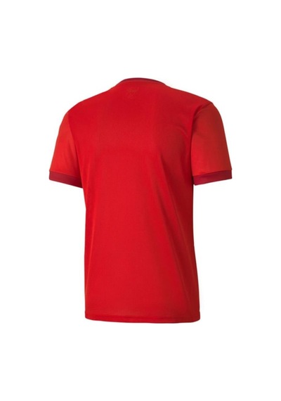Puma 704171 Teamgoal 23 Jersey Çok Renkli