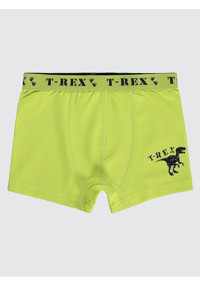 Civil Boys Erkek Çocuk 3'lü Boxer Set 2-10 Yaş Yeşil