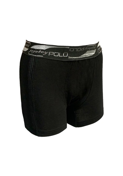 Jojoboy Polo Erkek Iki Yanı File Boxer 2 Li