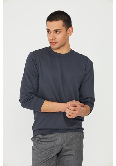 White Stone Antrasit Basic Bisiklet Yaka Erkek Sweatshirt Antrasit