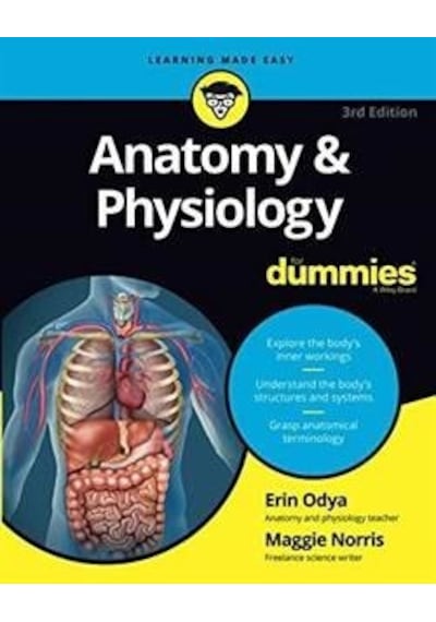 Anatomy & Physiology for Dummies 3rd Edition - Erin Odya -  Maggie A. Norris - John Wiley and Sons