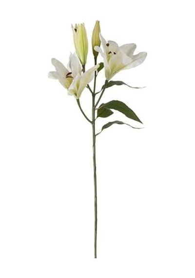 Concept Zarif Zambak Çiçeği Beyaz 75cm