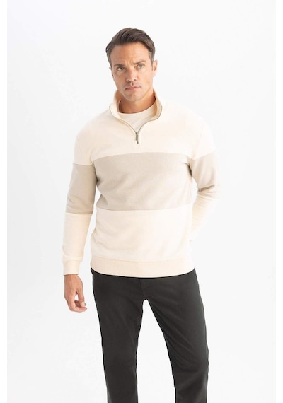 DeFacto Comfort Regular Fit Rahat Kalıp Dik Yaka Fermuarlı Çizgili Kalın Sweatshirt D2401AX24AUER42