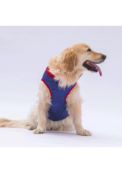 Pawstar Lacivert Summer Time Büyük Köpek Tişörtü Köpek Kıyafeti
