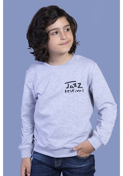 Toontoy Kids Toontoy Erkek Çocuk Baskılı Sweatshirt Gri Melanj