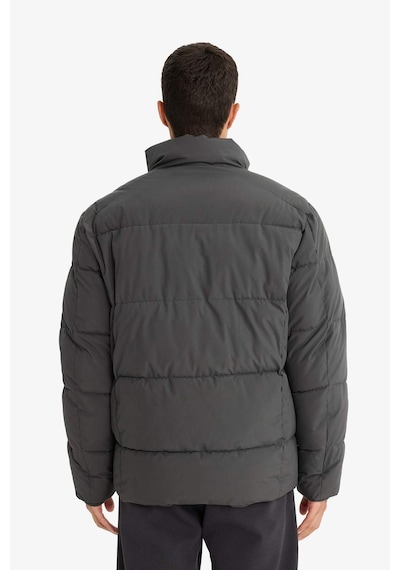Defacto Su İtici Regular Fit Dik Yaka Fermuarlı Cepli Mont E9991ax25wnar104 Antrasit-ar104