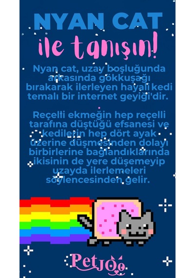 Petjoo 2.Nyan Cat Pembe-Mavi Qr'lı Kedi Künyesi