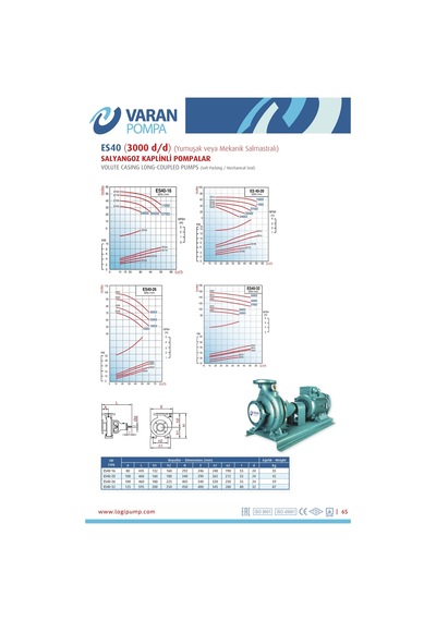 Varan Es 40-16-04002 Uçtan Emişli En 733 Santrifüj Pompa 5.5 Hp / 4 Kw, Trifaze 380 V, 32 Mss, 30 M3/h