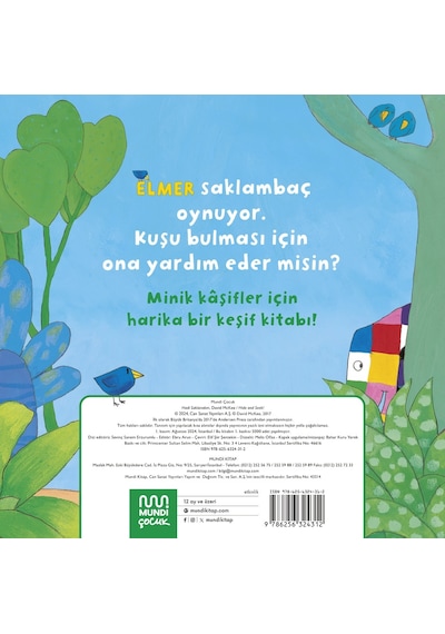Elmer Kütüphanesi Hadi Saklanalım 9786256324312