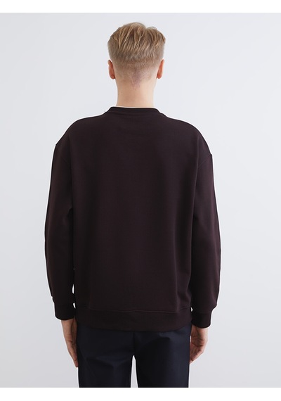 Lcw Vision Kahverengi Bisiklet Yaka Erkek Kalın Sweatshirt
