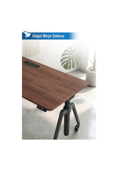 O-flex Oak Yükseklik Ayarlı Çalışma Masası Ceviz