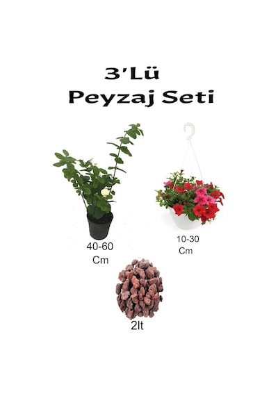 3'lü Peyzaj Seti Katmerli Ful Yasemin Kırmızı Petunya Çiçeği Curf