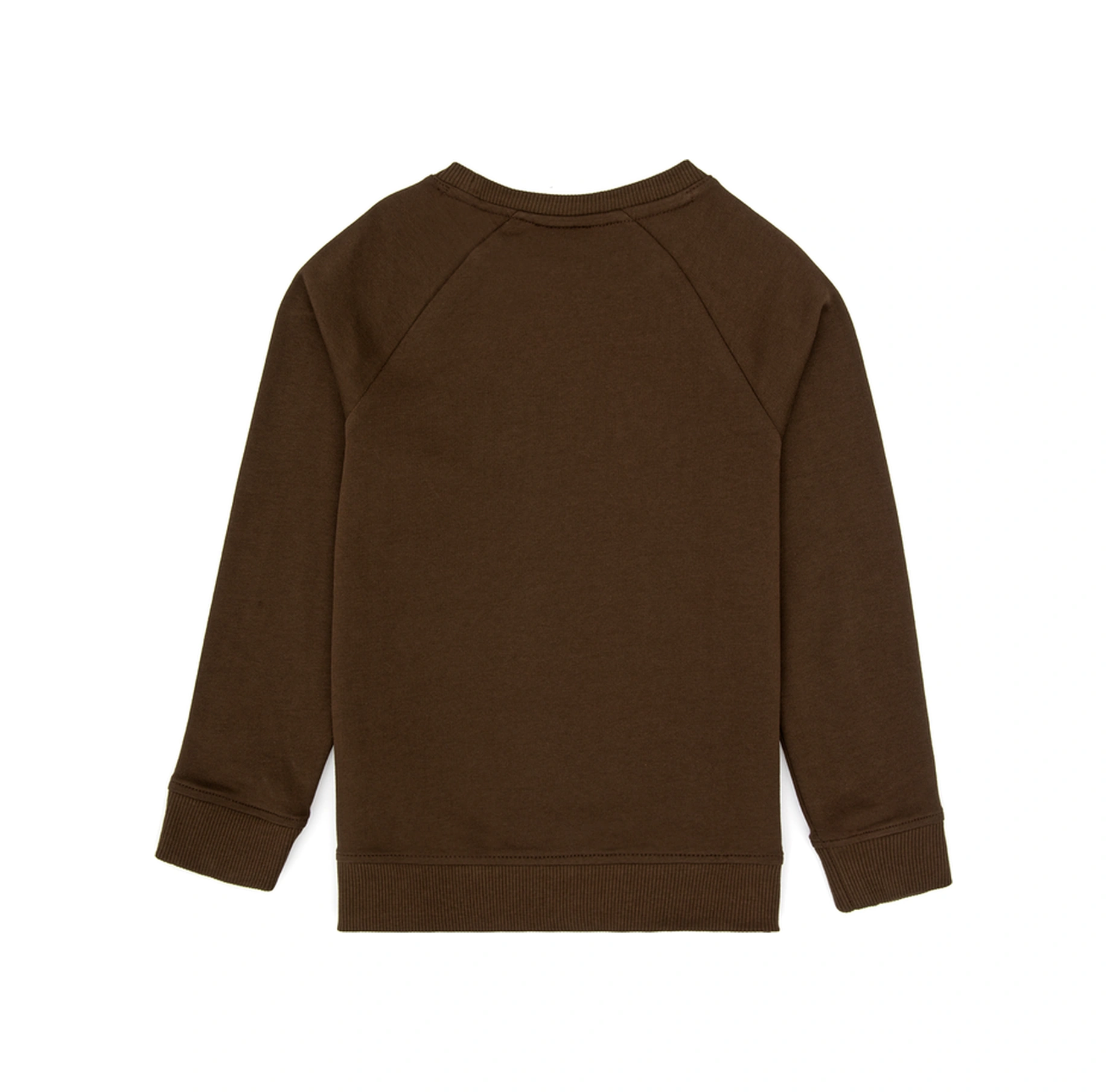 U.S. Polo Assn. Erkek Çocuk Kahverengi Basic Bisiklet Yaka Sweatshirt 50313832-VR029 U.S. Polo Assn. Erkek Çocuk Kahverengi Basic Bisiklet Yaka Sweatshirt 50313832-VR029