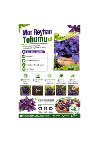 Mor Reyhan Tohumu Yoğun Kokulu Mor Yapraklı Reyhan Tohumu