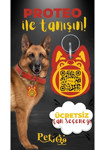 Petjoo 24.Proteo Sarı-Kırmızı Qr'lı Köpek Künyesi