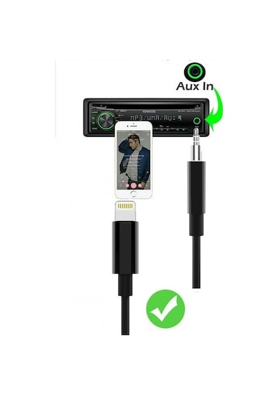 Taplın Apple Uyumlu iPhone  Lightning 3.5 Mm Aux Çevirici Kablo Siyah 1 Mt