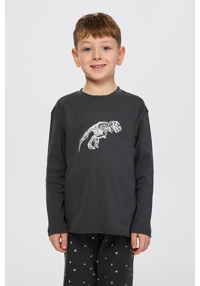 Panço Erkek Çocuk Dinazor Baskılı Pijama Takımı Antrasit