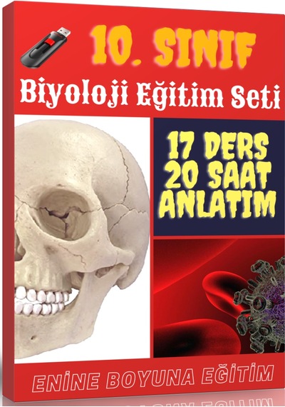 10. Sınıf Biyoloji Görüntülü Eğitim Seti 17 Ders – 20 Saatlik An