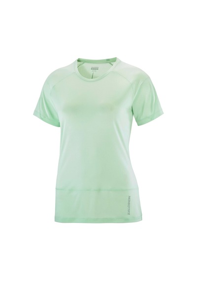 Salomon Cross Run Ss Tee W 4301 Çok Renkli