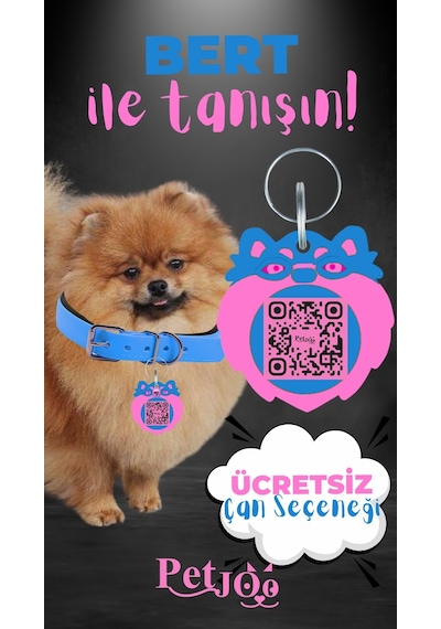 Petjoo 13.Bert Pembe-Mavi Qr'lı Köpek Künyesi