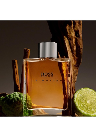 In Motion Edt 100 Ml Erkek Parfüm, 3616301623311