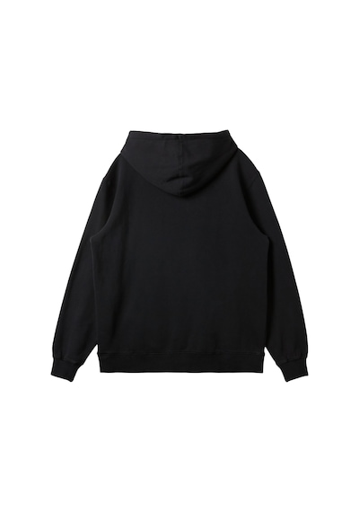 Quiksilver Salt Water Hoodie Erkek Sweatshirt Siyah