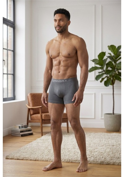 Womanandkids Night Gri Erkek Rahat Esnek Seamless 2 Li Boxer