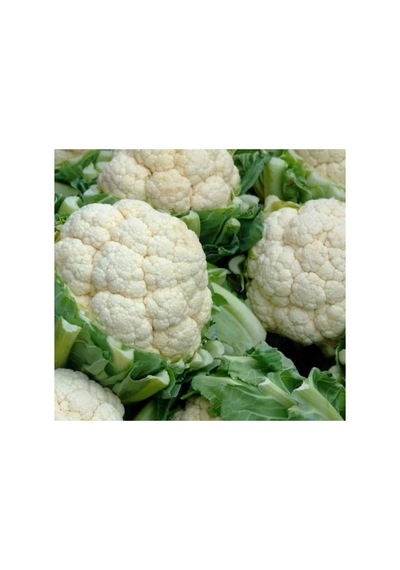 Karnabahar Tohumu Çoklu - 5 Gram