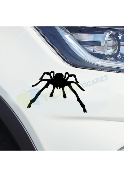 Örümcek Oto Sticker Araba Etiket Yapıştırma Süper Sürpriz  20 Cm 13 Cm