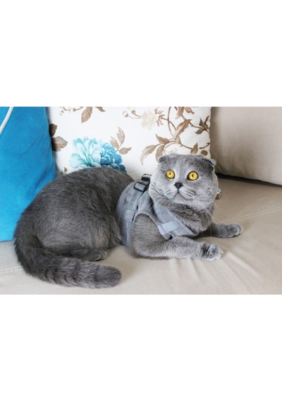 Petköy Kedi Gezdirme Tasması Kedi Göğüs Tasma Seti Yumuşak Süet Kumaş Gri