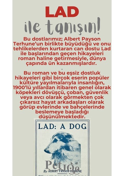 Petjoo 23.Lad Gri-Kırmızı Qr'lı Köpek Künyesi