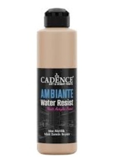 Cadence Ambıente Islak Zemin Boyası Aw-16 Karton 250ml + Katalizör 10gr 0,15 L