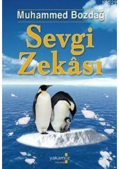 Sevgi Zekası (534002416)