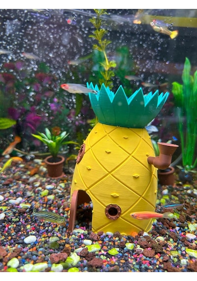 Akvaryum Dekor Ananas Ev 15 Cm Yükseklik 10 Cm Genişlik Balık Yuvası Ana-1510-01, One Size