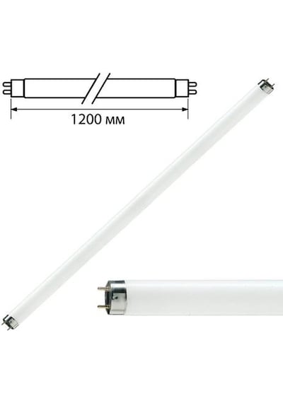 Philips Tl-D 36W T8 Floresan Snow White 12000 120 CM
