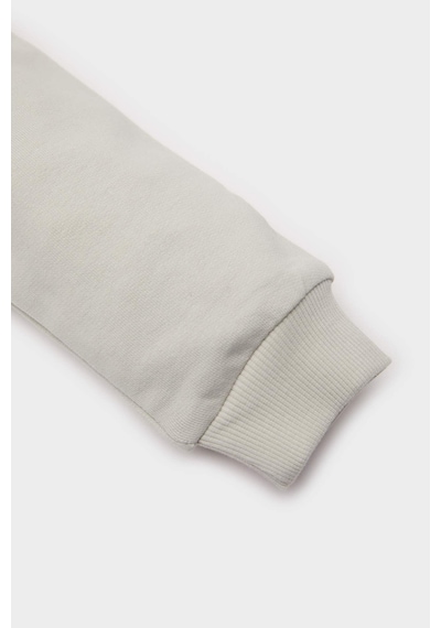 DeFacto Erkek Bebek Bisiklet Yaka Baskılı Sweatshirt E5936A525SPGR107 Gri