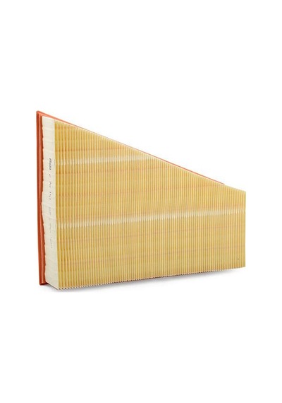 Mann Filter Hava Filtresi C30161