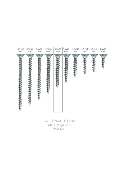 Adilon Sunta Vidası 3.5 x 030 30'Lu