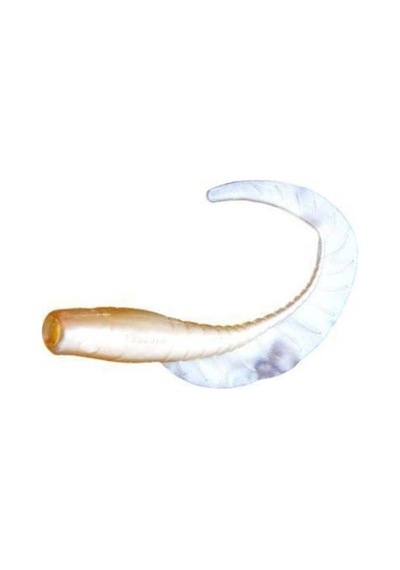 Sea Horse Prenses 2 Li Paket 7.5 Cm L02