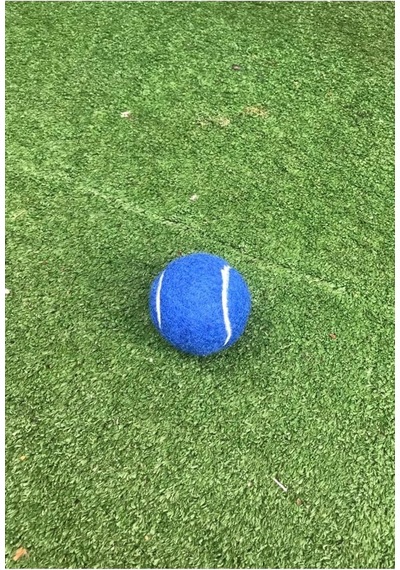 1 Adet Antrenman Tenis Topu Mavi, Tek Ebat, Wrkn01mv, Mavi
