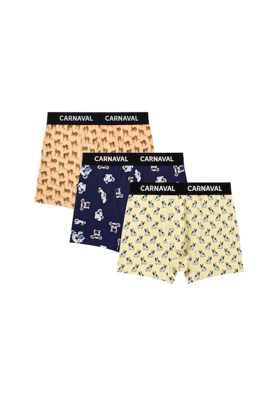Carnaval Socks Carnaval Animal Crew Erkek Boxer 3'lü Set Çoklu