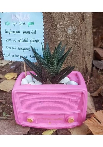 Radyo Saksı
