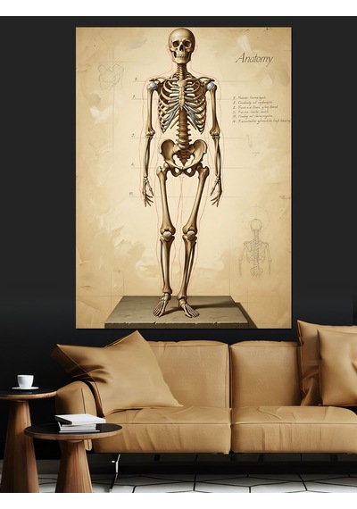 Ahşap Tablo İnsan İskeleti Anatomik Çizim