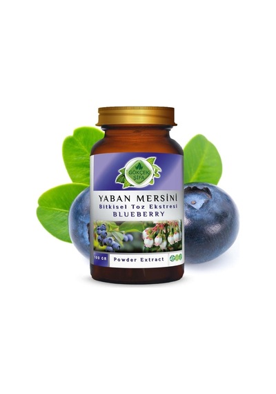 Gökçek Şifa Yaban Mersini Blueberry Toz Ekgerginliki 100 Gr Cam Kavanoz