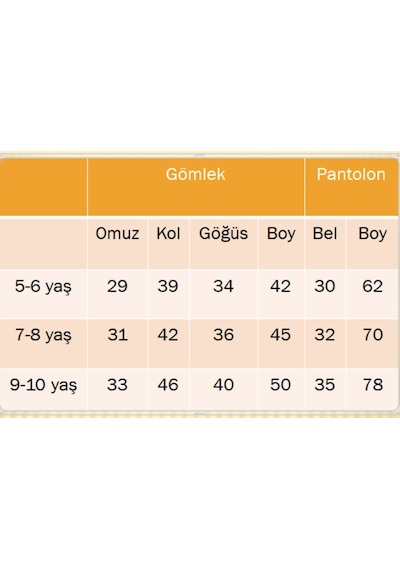 Pina Kids Erkek Çocuk Papyonlu Askılı İkili Takım Mavi - Lacivert
