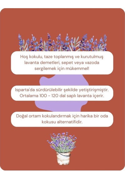 Pureal Kurutulmuş Doğal Lavanta Demeti