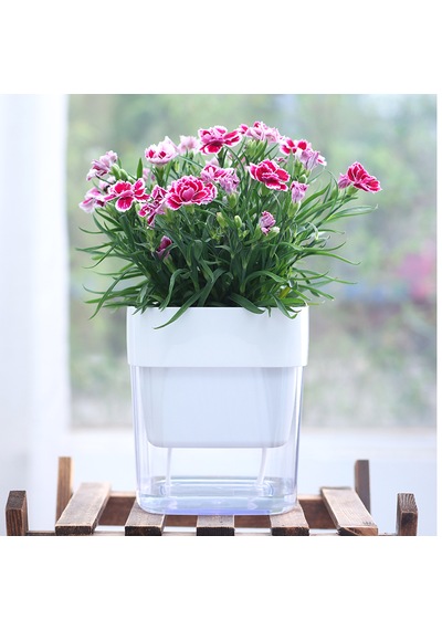 Kendinden Sulamalı Şeffaf Hazneli Kare Akıllı Saksı 16 X 17.5 X 16 Cm
